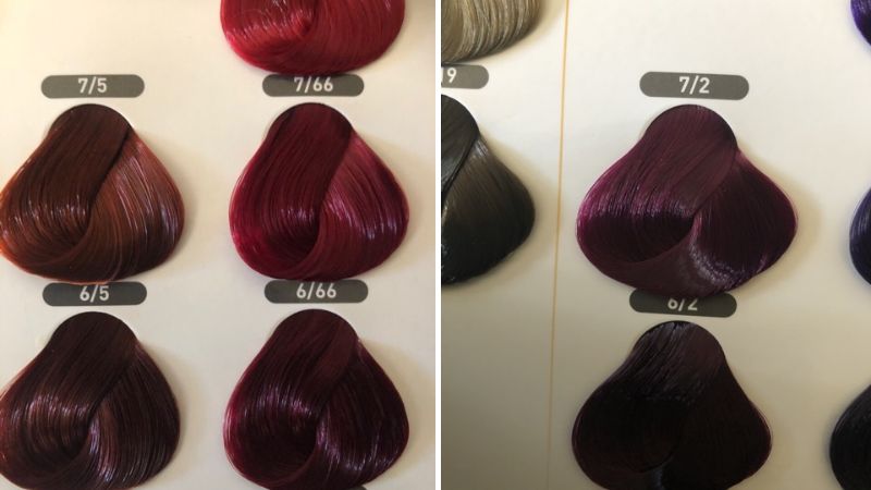 Review] Bảng màu nhuộm tóc đẹp, thịnh hành nhất và cách pha màu tóc tại nhà  - ALONGWALKER