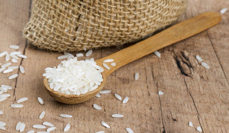 Giá lúa gạo hôm nay 12/1/2023: Không có sự thay đổi mới