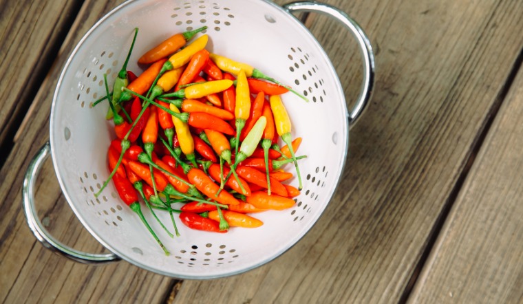 Giá ớt hôm nay 12/01/2023: Giá ớt tiếp tục chững giá