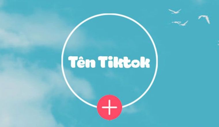 3 Cách Làm Avatar Trong Suốt Trên Tik Tok Trên Điện Thoại Đơn Giản