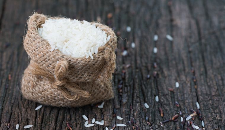 Giá lúa gạo hôm nay 14/1/2023: Duy trì đà đi ngang