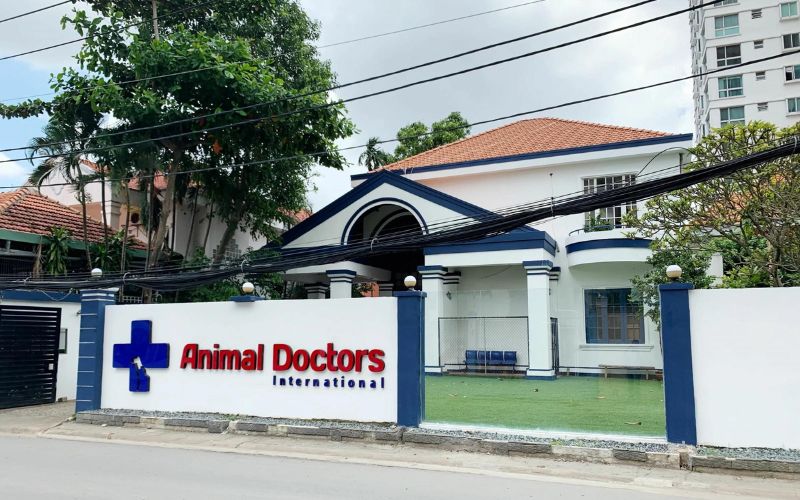 Animal Doctors International