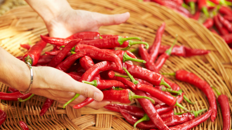 Giá ớt hôm nay 16/01/2023 mới nhất Giá ớt hôm nay 16/01/2023 mới nhất