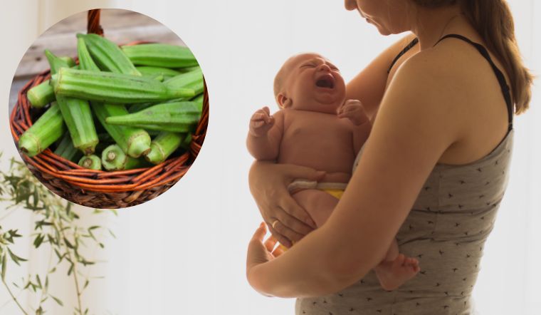 Sau sinh ăn đậu bắp được không? Một số lợi ích khi mẹ bỉm sữa ăn đậu bắp