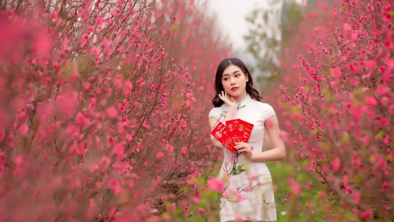 Vườn đào Nhật Tân (Hà Nội)