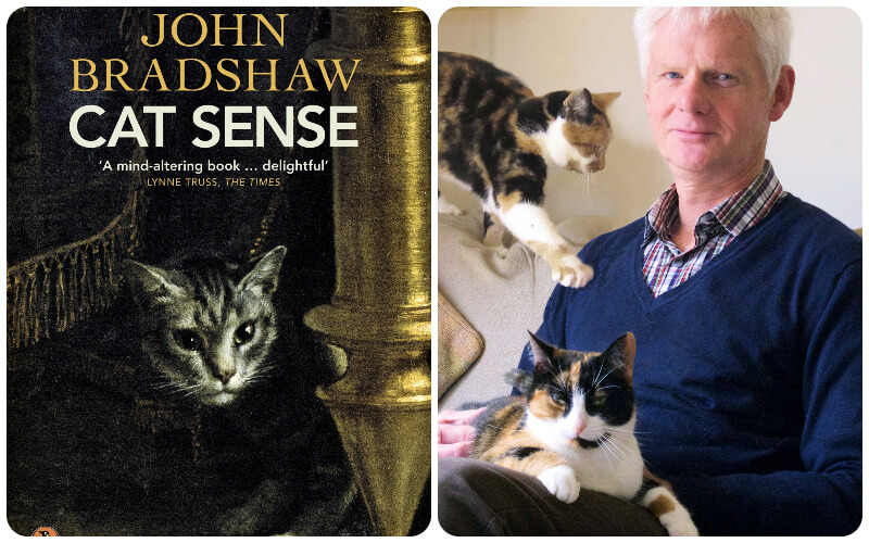 Cat Sense: The Feline Enigma Revealed - John Bradshaw