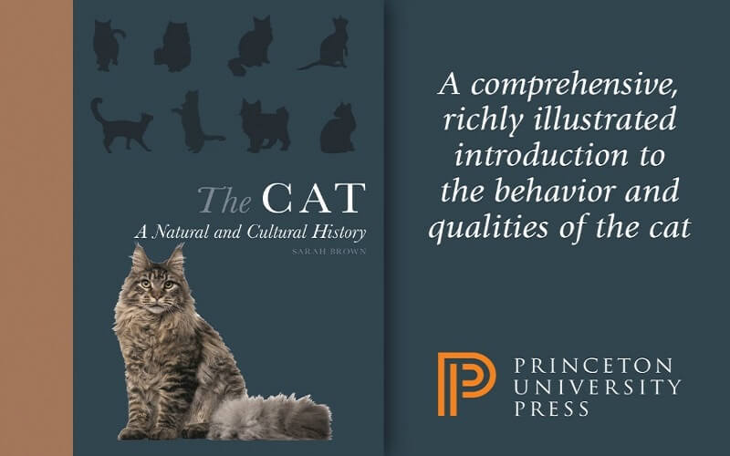 The Cat: A Natural History - Sarah Brown