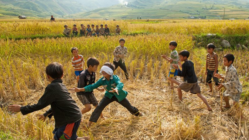 Blindfold Catching Goats