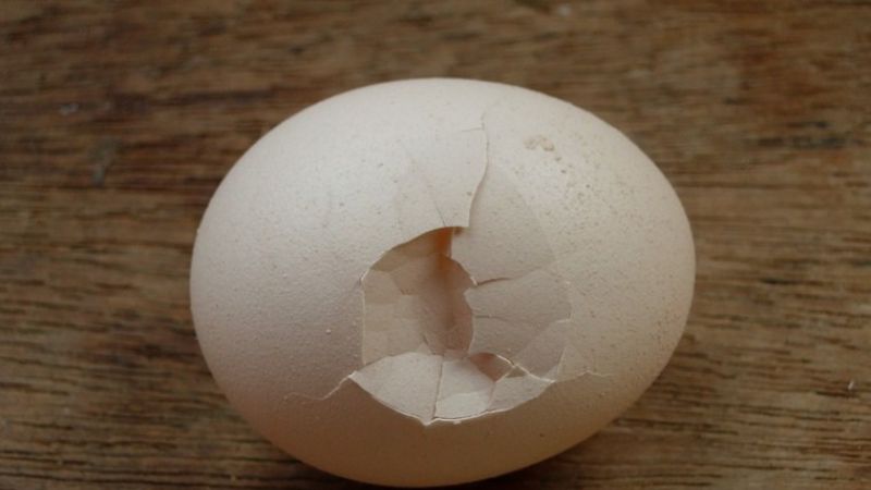 Ngừng ăn ngay 4 loại trứng gà này vì nguy cơ gây hại nội tạng, sức khỏe