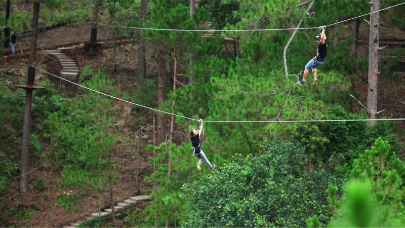 Zipline xuyên rừng dài bậc nhất Châu Á 