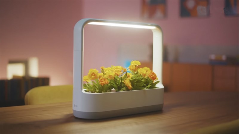 LG Tiiun Mini có tổng thể trông giống như một chiếc giỏ hình chữ nhật trông rất gọn gàng và thanh lịch.