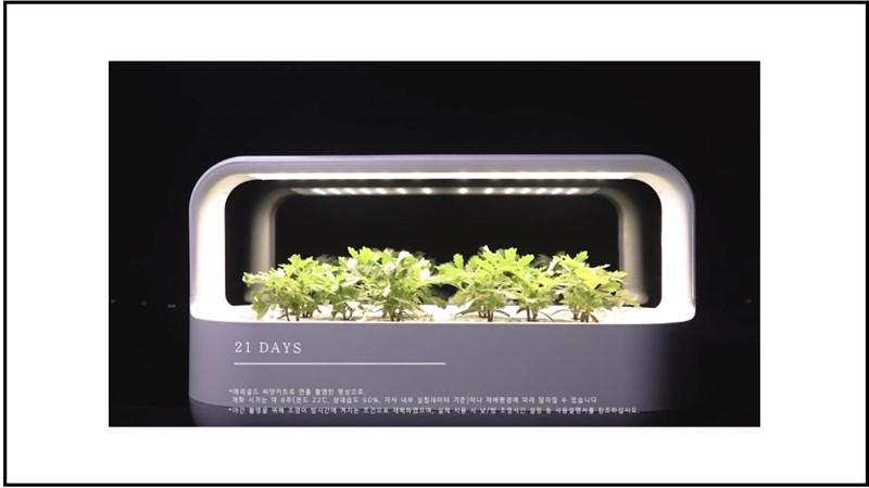 LG Tiiun Mini có tính năng chính là dùng để trồng rau, hoa cảnh hay các thực vật khác.