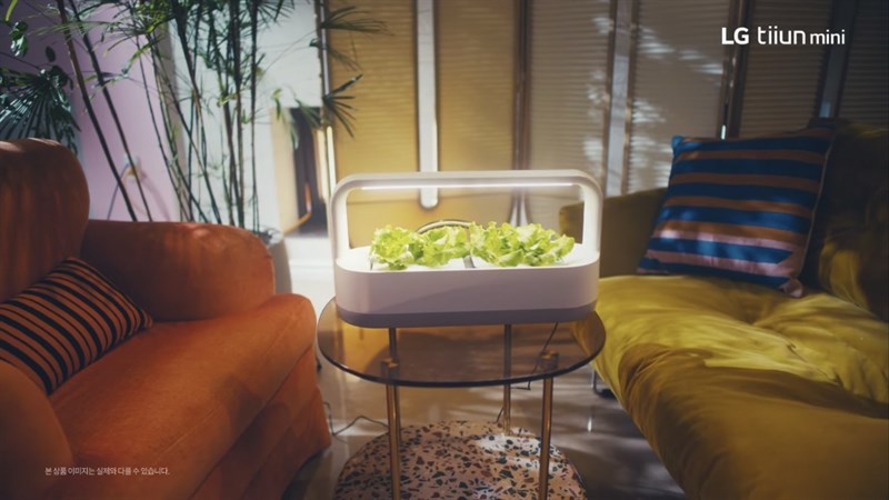 LG Tiiun Mini là một sản phẩm trồng cây trong nhà phù hợp với nhóm người dùng bị hạn chế về không gian và thời gian.