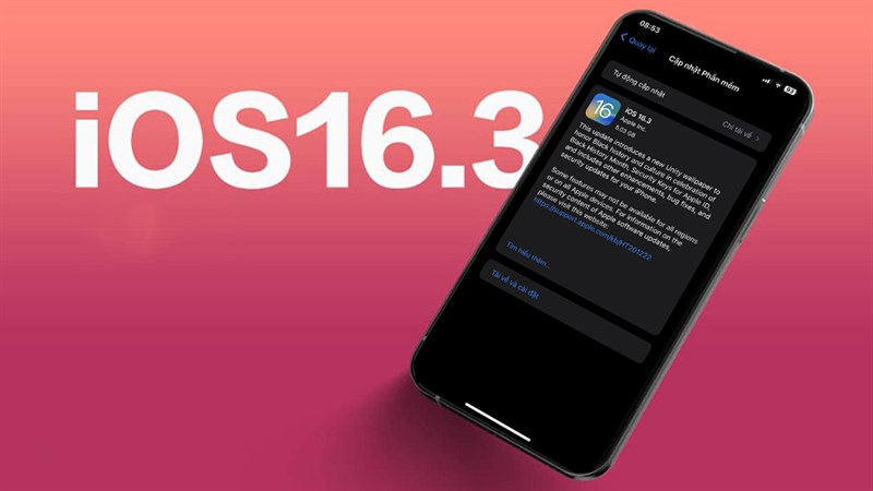Cách cập nhật iOS 16.3