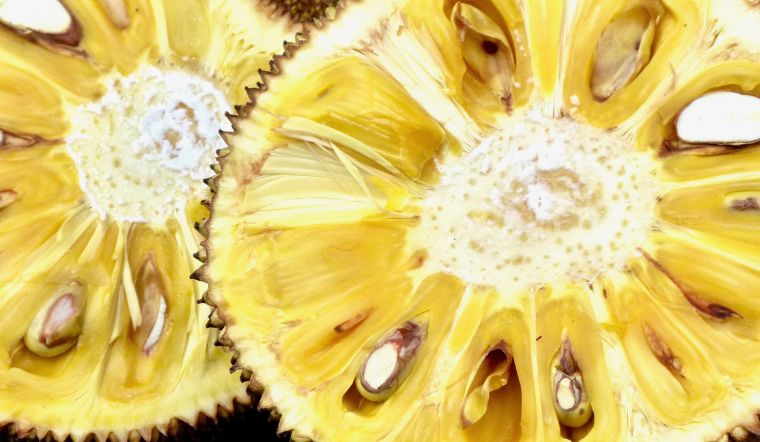 Giá mít Thái hôm nay 28/01/2023: Chưa có thay đổi so với hôm qua