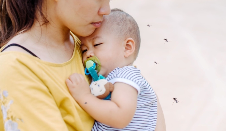 Mẹ bị sốt xuất huyết có nên cho con bú? Nên điều trị ra sao?