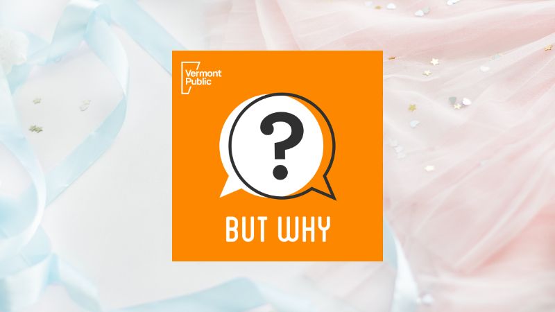 But Why: A podcast for curious kid