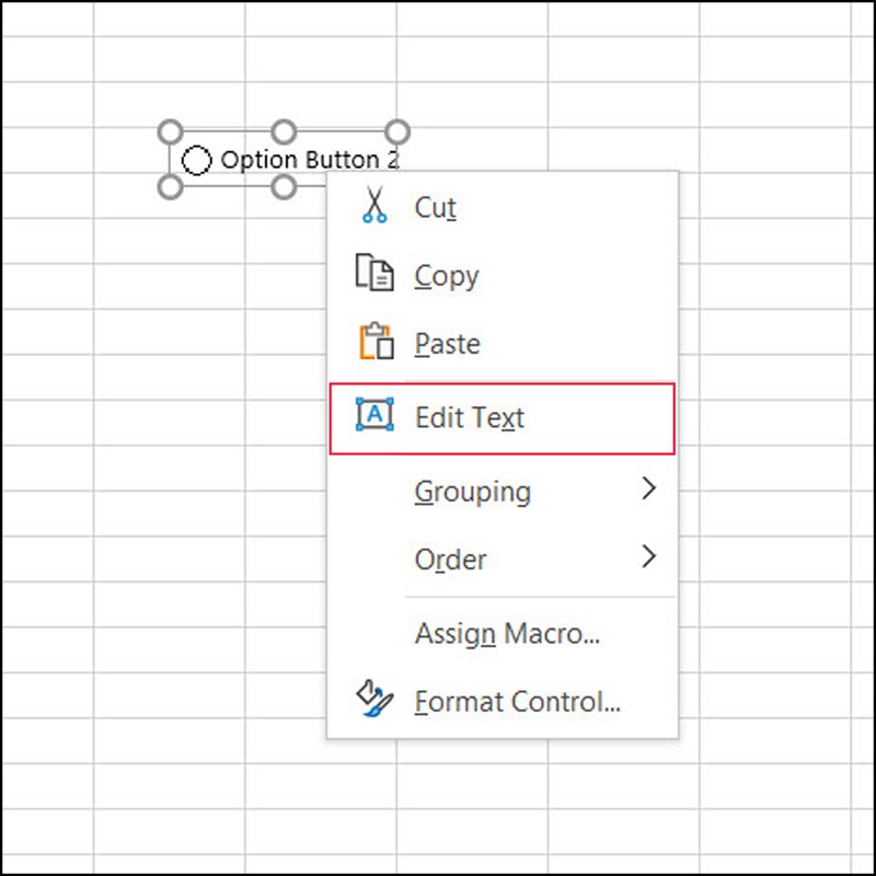 Cách tùy biến nút chọn radio trong bảng Excel