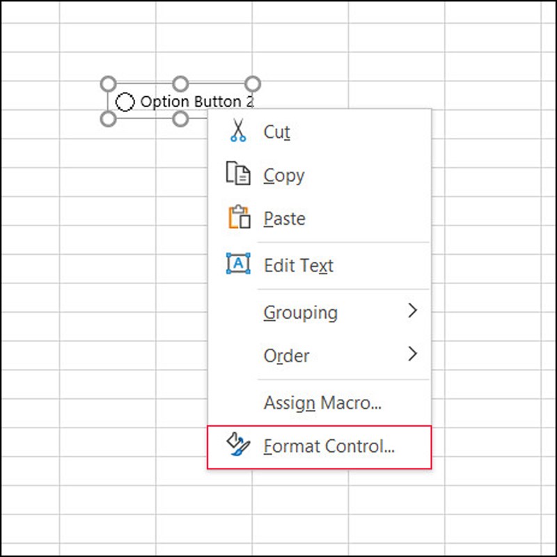 Cách tùy biến nút chọn radio trong bảng Excel