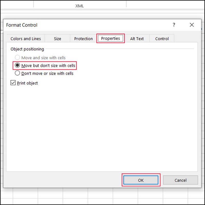 Cách tùy biến nút chọn radio trong bảng Excel