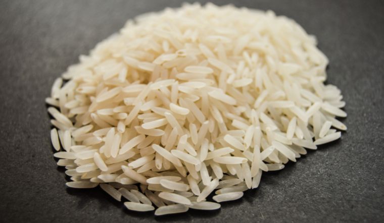 Giá lúa gạo hôm nay 02/02/2023: Giảm giá trên nhiều giống lúa