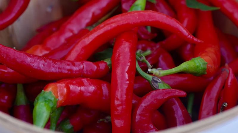 Giá ớt hôm nay 02/02/2023 mới nhất