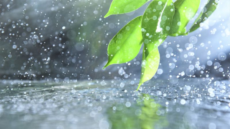 Tiết Cốc Vũ là 1 trong 24 tiết khí