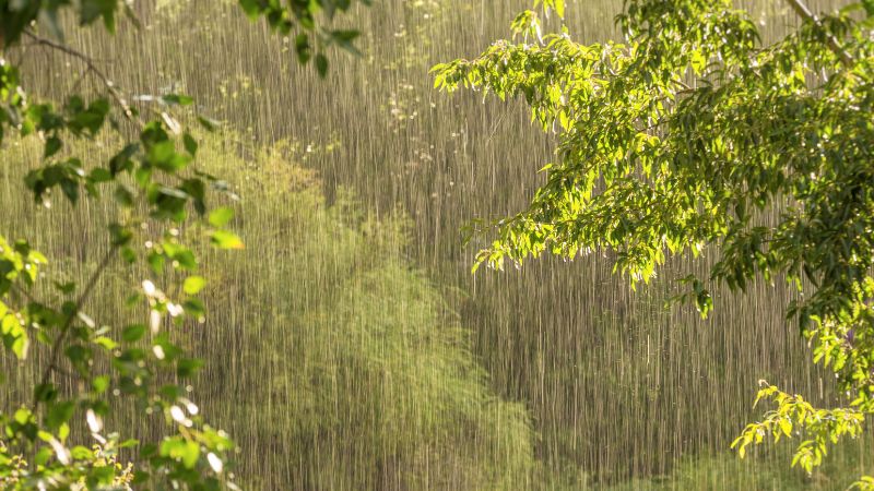 Thời tiết chuyển từ xuân sang hè với mưa lớn