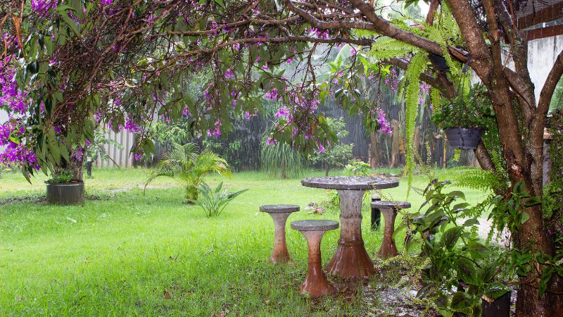 Giúp nông nghiệp phát triển