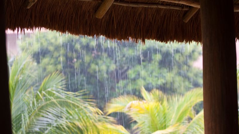 Thời điểm này cần chú ý đến sức khỏe 