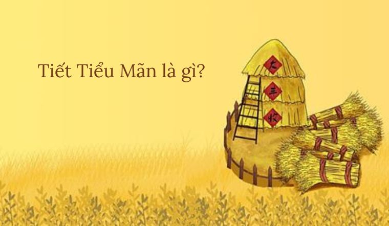 Tiết Tiểu Mãn 2023 rơi vào ngày nào? Ý nghĩa của tiết Tiểu Mãn