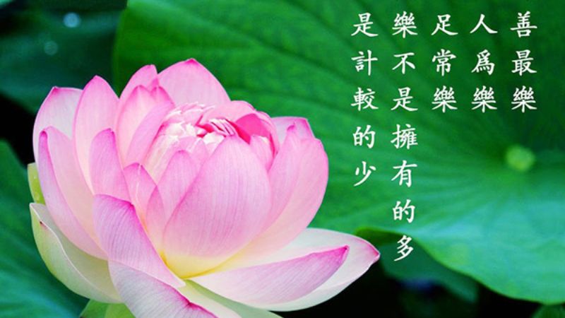 Tiết Hạ Chí là tiết thứ 10 trong 24 tiết khí trong năm