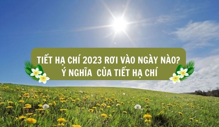 Tiết Hạ Chí 2023 rơi vào ngày nào? Ý nghĩa của tiết Hạ Chí