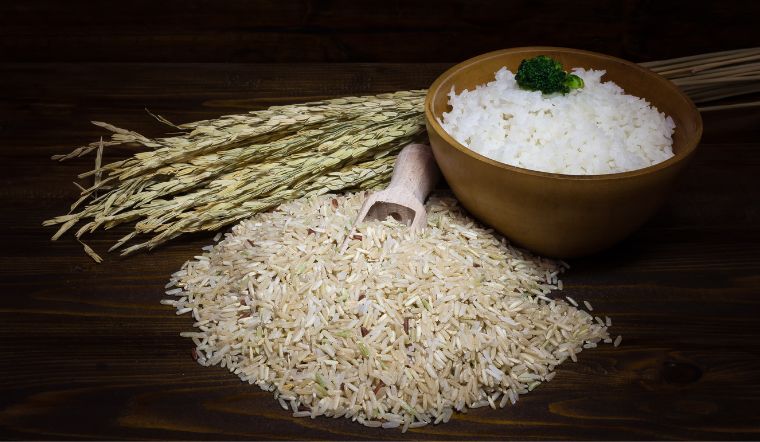 Giá lúa gạo hôm nay 04/02/2023: Ổn định trong ngày cuối tuần