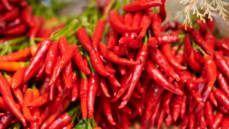 Giá ớt hôm nay 04/02/2023 mới nhất