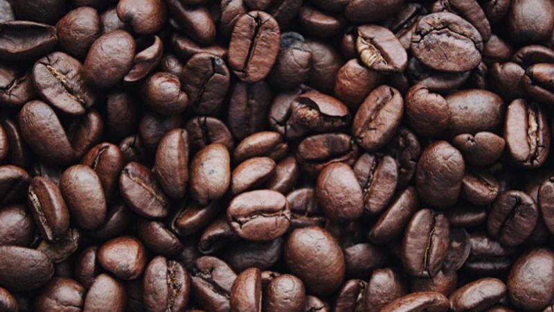 Giá cà phê trong nước hôm nay Giá cà phê trong nước hôm nay