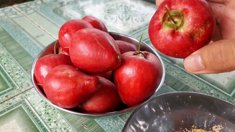 Cashew fruit only exists in the Western provinces