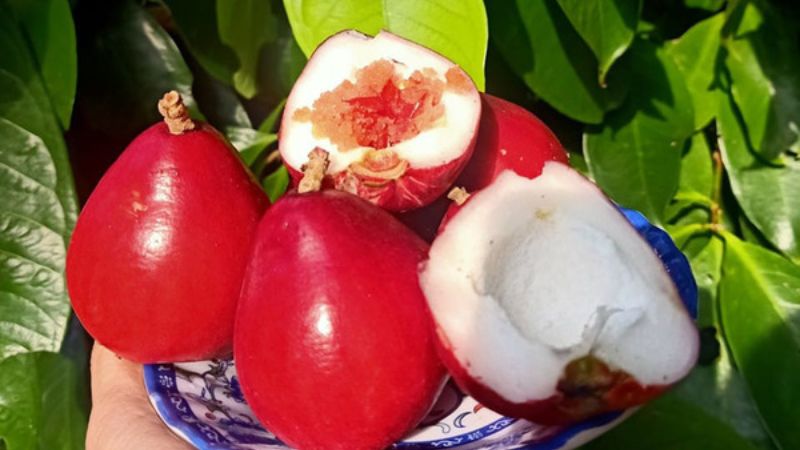 Cashew fruit has a sweet and sour taste, a light fragrance, and is juicy