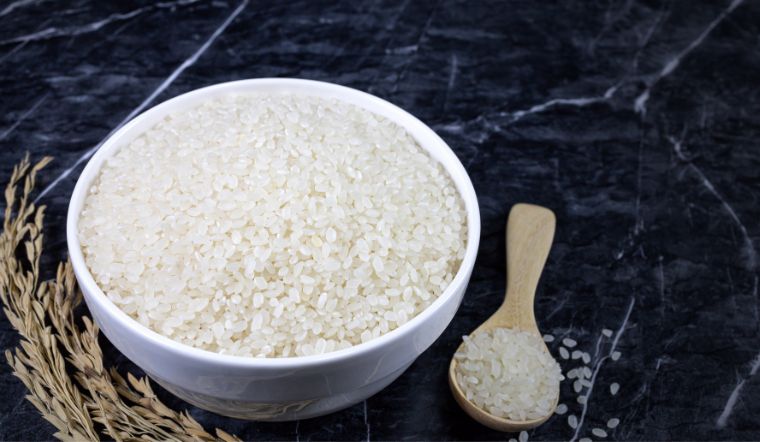 Giá lúa gạo hôm nay 06/02/2023: Giảm giá trên nhiều giống lúa