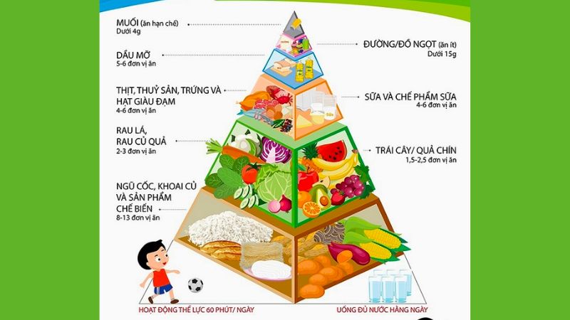 What is the Nutrition Pyramid? The meaning of the nutrition pyramid for the body