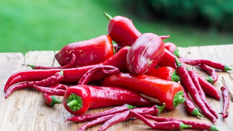 Giá ớt hôm nay 07/02/2023 mới nhất