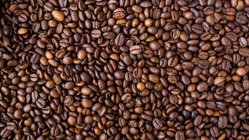 Giá cà phê trong nước hôm nay Giá cà phê trong nước hôm nay