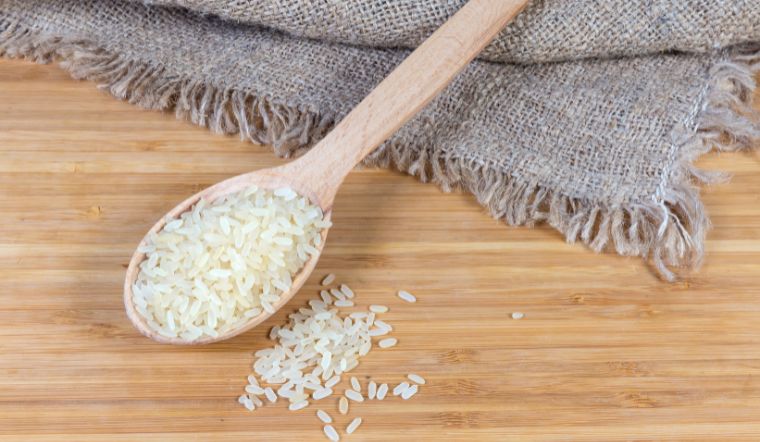 Giá lúa gạo hôm nay 08/02/2023: Ổn định, không có sự thay đổi