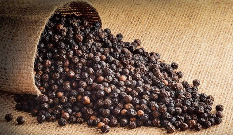 Giá tiêu hôm nay 11/2/2023: Tiêu nội địa tăng 3 ngày liên tiếp