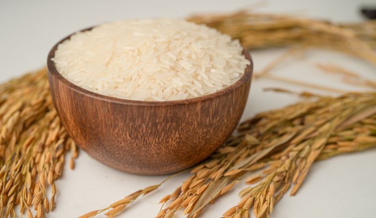 Giá lúa gạo hôm nay 11/02/2023: Ổn định trong ngày cuối tuần