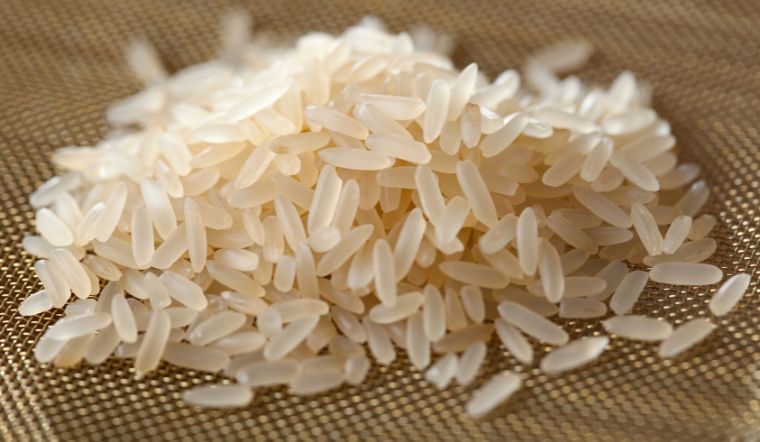 Giá lúa gạo hôm nay 14/02/2023: Giảm giá ở một số giống lúa