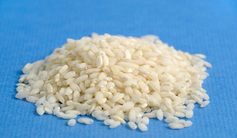 Giá lúa gạo hôm nay 15/02/2023: Lúa IR 50404 giảm 100 đồng/kg