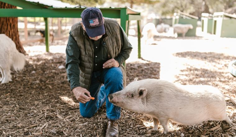 Giá heo hơi hôm nay 16/2/2023: Ghi nhận giảm 1.000 - 2.000 đồng/kg
