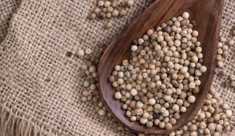 Giá tiêu hôm nay 16/2/2023: Tiếp tục tăng thêm 1.500 đồng/kg