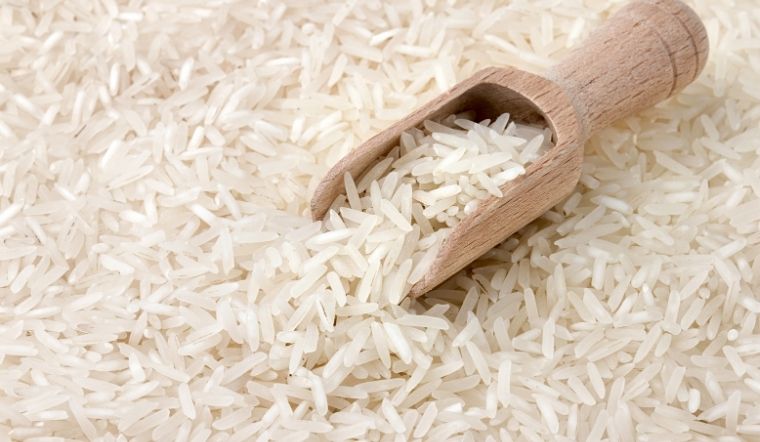 Giá lúa gạo hôm nay 16/02/2023: Lúa Đài thơm 8 tăng 200 đồng/kg